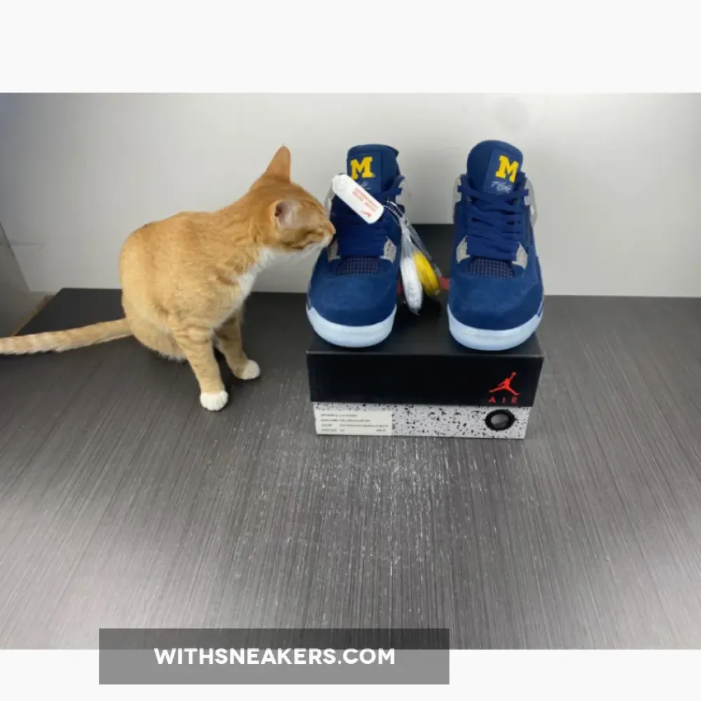 Air Jordan 4 Retro 'Michigan Wolverines' PE
