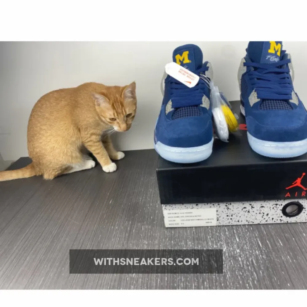 Air Jordan 4 Retro 'Michigan Wolverines' PE